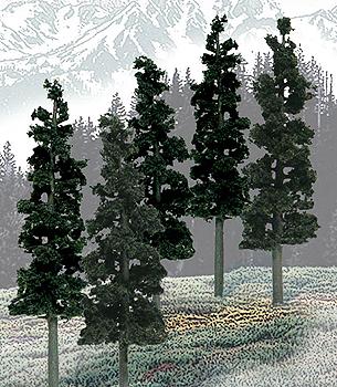 Value Pack Trees - Conifer (6 #0