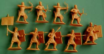 Persian Provincial (Medium) Infantry with Spear & Bow (1 Officer + 1 Standard Bearer + 4 Bowmen + 4 Spearmen)--Persians #0