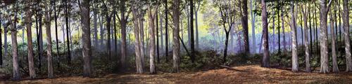 Eastern Woodland Backdrop No.2--54 in. W x 12 in. H #1