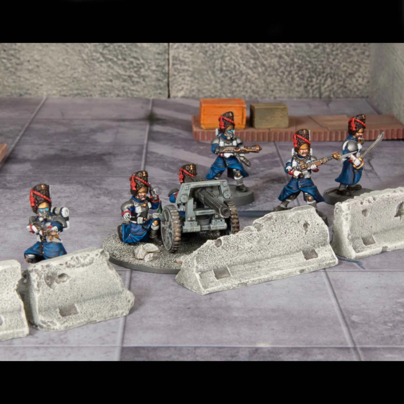  28mm Death Fields: Les Grognards Command & Heavy Support w/Weapons (12) & Heavy Guns (6) #9