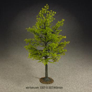 Image of 11" Maple Tree, Summer--11 in. Tall, 8 in. Spread