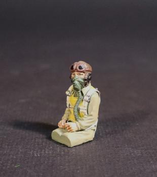 Image of Seated Pilot, USAAF Groundcrew and Pilots, WWII--single figure