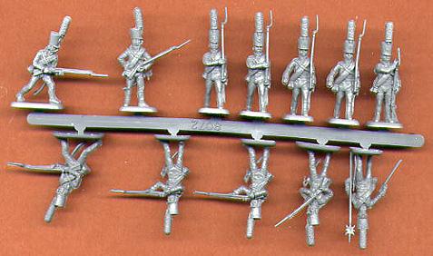 1805 Russian Line Infantry (Austerlitz)--48 figures #2