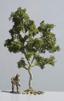 Image of Medium Birch Tree--10" high--OUT OF STOCK