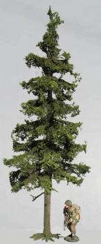 Image of Tall Fir--12 in. high--