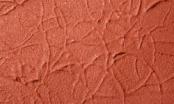 Stone Texture:  Red Oxide Paste--30 ml. bottle -- AWAITING RESTOCK! #0