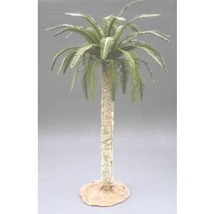 Large Date Palm--10" to 12" tall-- #2