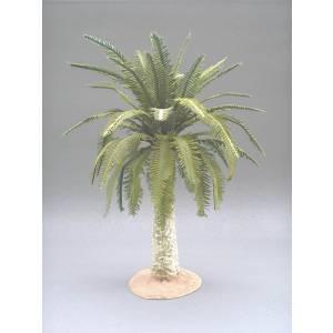 Small Date Palm--7" to 10" tall #6