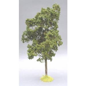 Image of Mountain Ash Tree--approximately 8 in. tall--Pre-Order: 2 to 3 months.