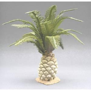 Image of Young Palm--4" high--