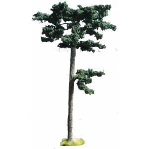 Scots Pine Tree--11" to 12" -- AWAITING RESTOCK! Scots Pine Tree--11" to 12" -- AWAITING RESTOCK! #3872