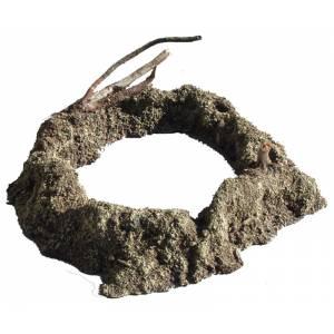 Small Shell Hole--5.5: diameter x 1" high--Pre-Order:  two to three months Small Shell Hole--5.5: diameter x 1" high--Pre-Order:  two to three months #3931