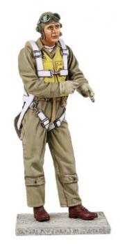 Image of U.S. Navy Pilot, 1941-45--single figure