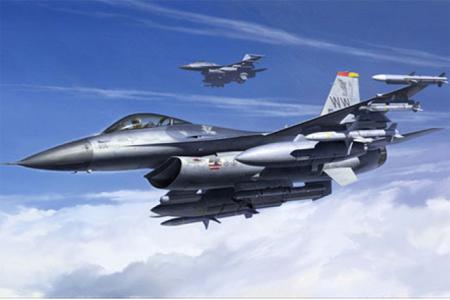 1/48 F16CJ Block 50 Fighting Falcon Aircraft #1