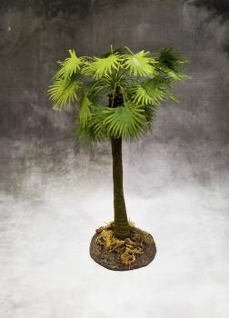 Sugar Palm (Jungle)--approx. 11cm tall--OUT OF STOCK! Sugar Palm (Jungle)--approx. 11cm tall--OUT OF STOCK! #44271