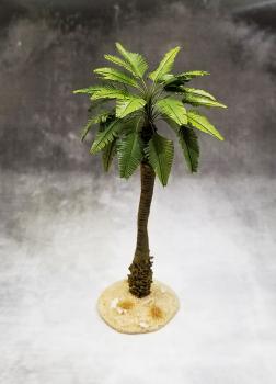 Broadleaf Palm (Desert)--approx. 7-9.5cm tall -- TWO IN STOCK! Broadleaf Palm (Desert)--approx. 7-9.5cm tall -- TWO IN STOCK! #44274