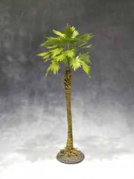 Large Jungle Sugar Palm--approx. 20cm tall--ONE IN STOCK. Large Jungle Sugar Palm--approx. 20cm tall--ONE IN STOCK. #44277