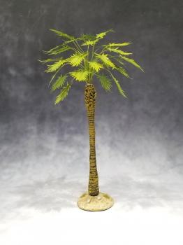 Large Desert Sugar Palm--approx. 20cm tall--THREE IN STOCK. Large Desert Sugar Palm--approx. 20cm tall--THREE IN STOCK. #44278
