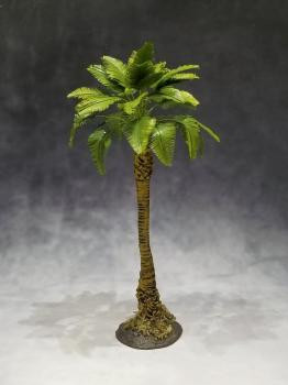 Large Jungle Broadleaf Palm--approx. 20cm tall -- ONE IN STOCK! Large Jungle Broadleaf Palm--approx. 20cm tall -- ONE IN STOCK! #44279