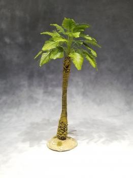 Large Desert Broadleaf Palm--approx. 20cm tall--TWO IN STOCK. Large Desert Broadleaf Palm--approx. 20cm tall--TWO IN STOCK. #44280