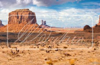 "Go West" Backdrop--AWAITING RESTOCK. "Go West" Backdrop--AWAITING RESTOCK. #44472