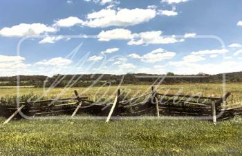 "Split Rail Fence" Backdrop "Split Rail Fence" Backdrop #44476