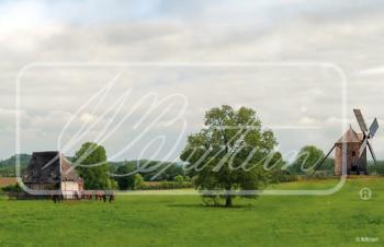 "European Countryside" Backdrop "European Countryside" Backdrop #44481