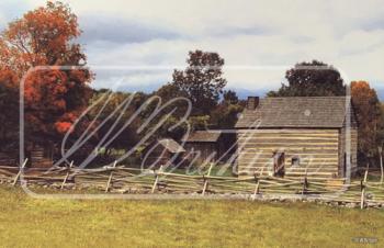 "Bucolic Farm and Field" Backdrop "Bucolic Farm and Field" Backdrop #44484