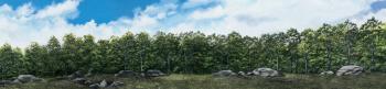 Image of Rocky Treeline, Eastern U.S. Backdrop No.2