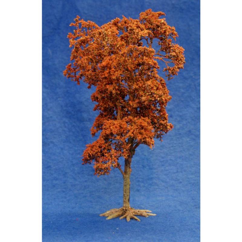Russet Maple (autumn)--8" high x 4-5" spread--Pre-Order:  two to three months. #1