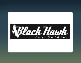 Image for Black Hawk Toy Soldier
