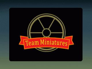 Image for Team Miniatures
